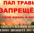 Нажмите для просмотра в полном размере... - Идринский район
